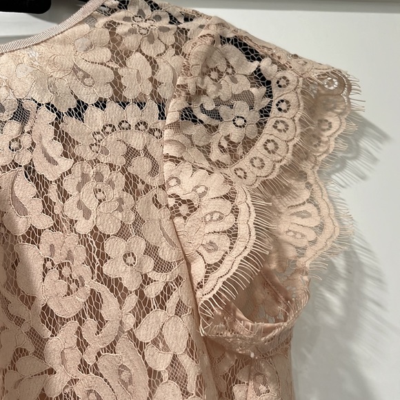 Joie lace top beige creme with bow size M gorgeous! - Picture 3 of 10